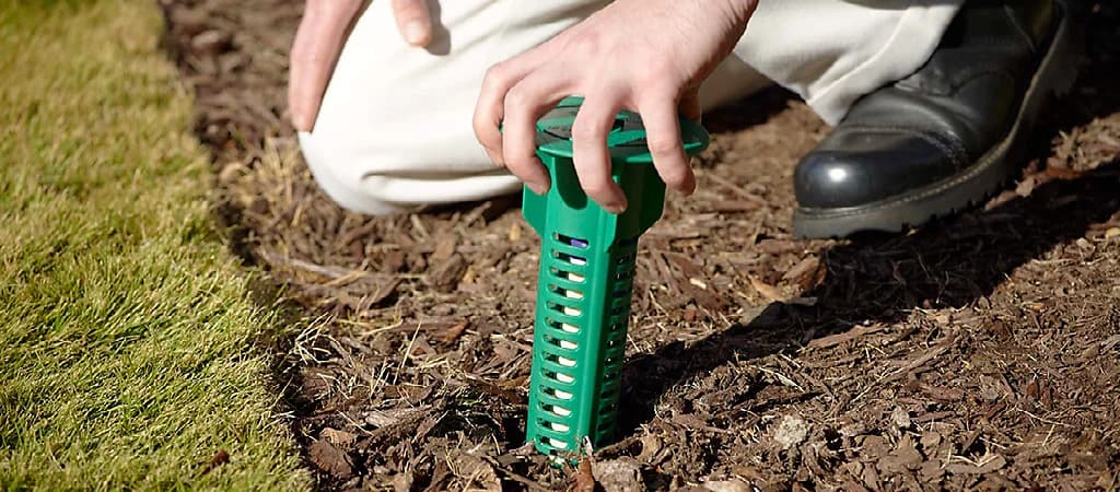 Termite bait station being placed in the ground
